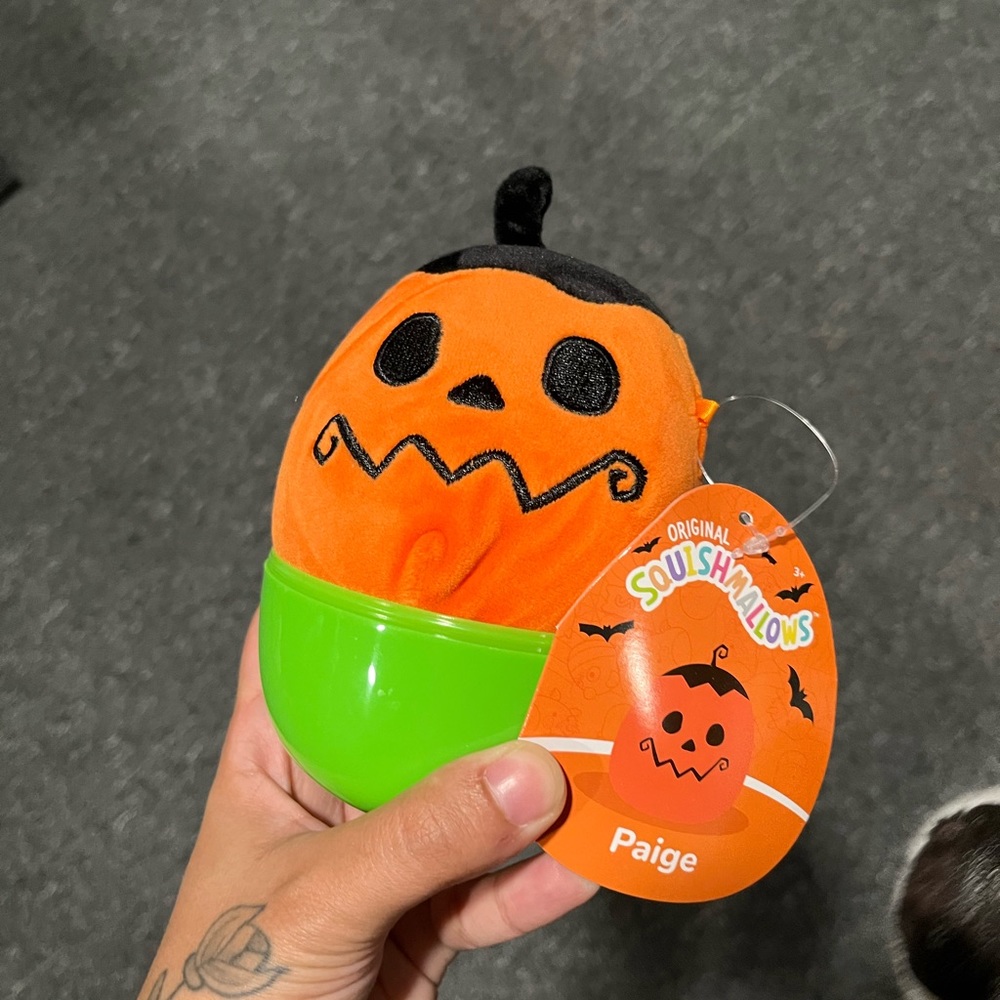 Paige mystery squishmallow